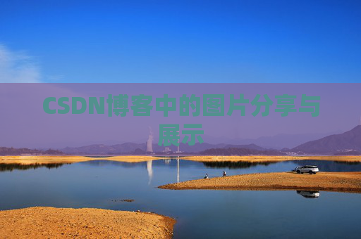 CSDN博客中的图片分享与展示